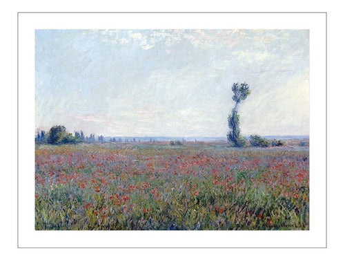 Lamina Fine Art Campo De Amapola Monet Claude 40x50 Myc 0