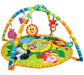 Winfun 2in1 Soft Floor Baby Gym and Play Mat Multicolor 6