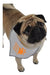 Ruff Ruff Y Meow Doggie Bandana Engullen Talla Mediana Color 0