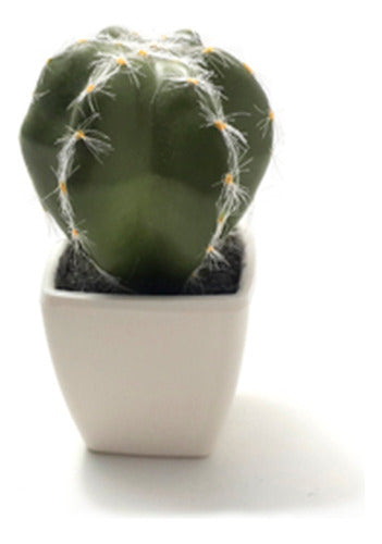 Ambiente Urbano Cactus Artificial Decorativo Con Maceta Bonete De Obispo 5x5 0