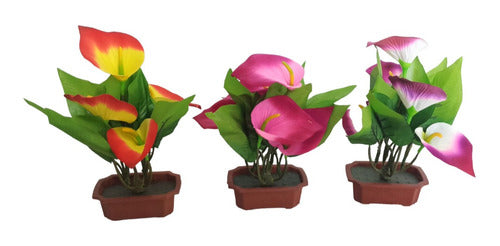 Loschi Medium Floral Plant with Pot - Floral Gift 2