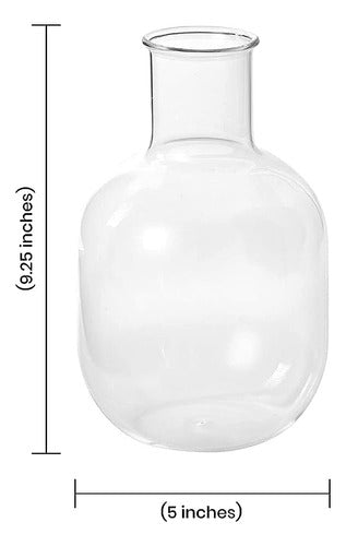 Serene Spaces Living Clear Glass Globe Vase 4