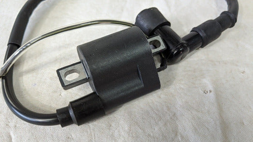 Ignition Coil with Cover Gilera Smash 110 Zb 110 Trip 4