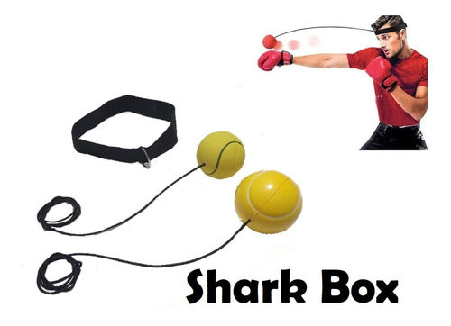 Kids Boxing Gloves 6 Oz Synthetic Leather, Shark Box Brand, Boxing, Kickboxing! 6