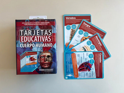 Flashcards Tarjetas Educativas Cuerpo Humano - 125 Fichas 1