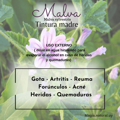 Tintura Madre De Malva 50 Ml. Magia Natural 2