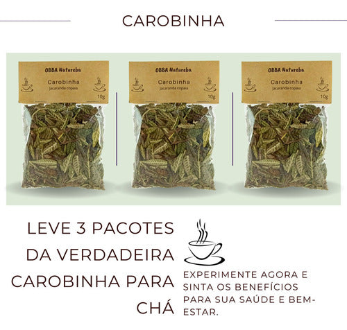 3 Pacotes De Carobinha P Chá | Legítima Jacaranda Caroba 1