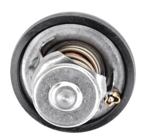 Thermostatic Valve for Ford Transit 1