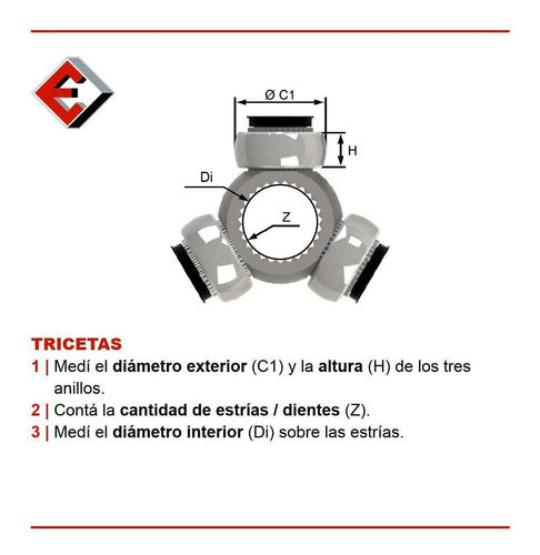 ETMA Triceta Ø29.06 x 19 Striations TR1234 1