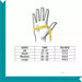 Black Nitrile Gloves x500 Units Size L M S XS and XL 52