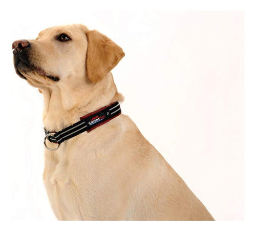 Comfortflex Martingale Collar for Dogs - Slip Collar 1