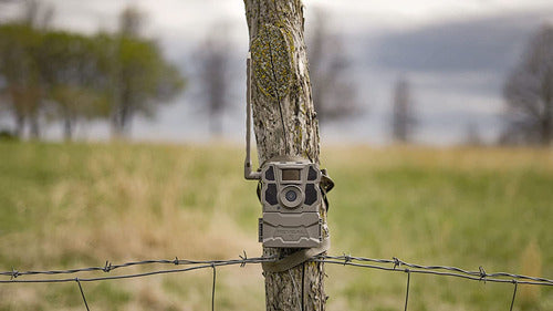 Tactacam Reveal X Gen 2.0 LTE Trail Camera (2 Units) 1