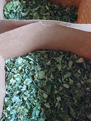 Organic and Biodynamic Moringa Oleifera Leaves Antiox 1kg 2