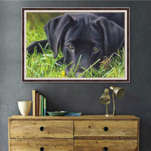 UM UPMALL 5D Diamond Painting Kit 40x30cm Puppy Dog 1