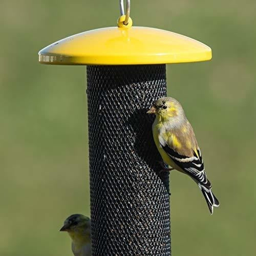 Perky-Pet Yssf00347 Bird Feeder, Yellow 3