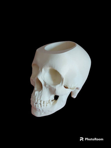 Superior Quality 3D Anatomical Skull Pencil Holder Gift 1