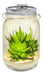 Lurch Solar Decorative Jar Rechargeable Solar Light Without Batteries 2