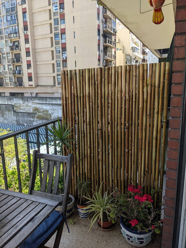 Bamboo Panel Pergola Fence 100x080cm High Tacuara 2
