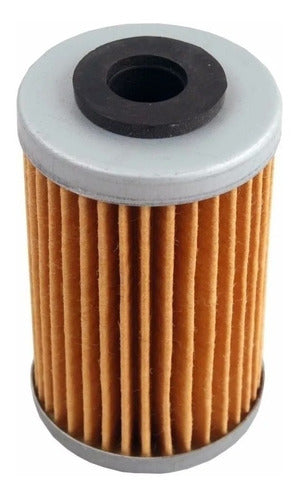 Filtro De Aceite Ktm Duke 200 250 390 Rousser 300 Oki Avant 0