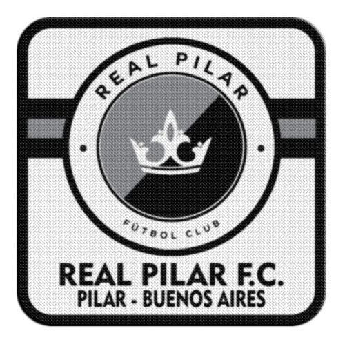 Thermoadhesive Patch Shield 7.5cm Real Pilar 9