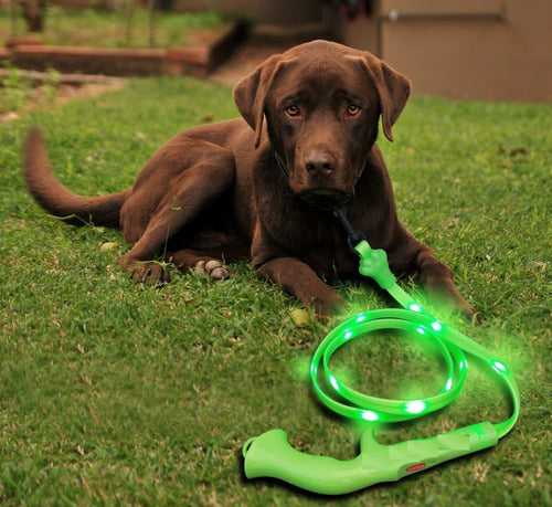 Correa Para Perros Con Luz Led Recargable!  (hasta 20 Kilos) 5