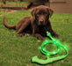 Correa Para Perros Con Luz Led Recargable!  (hasta 20 Kilos) 5