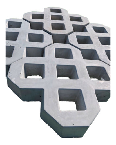 MOLPRE Concrete Paver for Vehicle Entrances M2 0