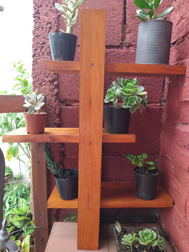 Artesano Rustic Shelf for Indoor or Outdoor Use 53x70x19cm Eucalyptus 3