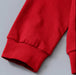 Baby Boy's Rustic Sweatshirt and Pants Set - 1 to 4 Years - Gray 4