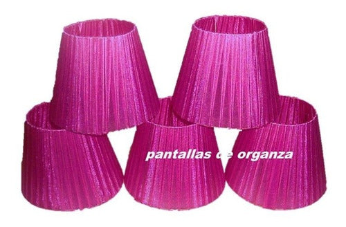 Carjavi Organza Screens with Fringe for Wall Lamp 2