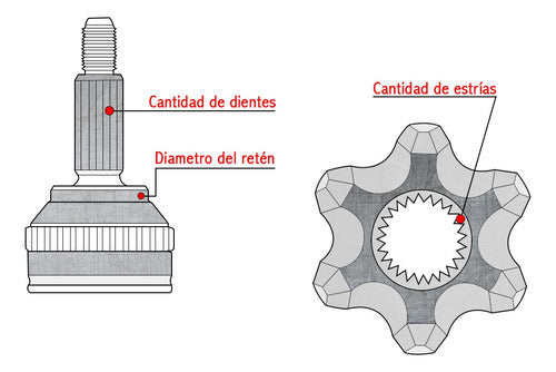 Ford Homocinetica Ecosport 1.0/1.6 C/Eje 23d/21e. L/C 4