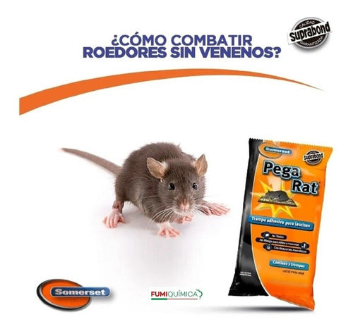 Suprabond Adhesive Trap for Rats and Mice Pegarat 4
