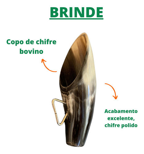 Berrante Médio De Chifres De Boi Com Alça + Brinde 1