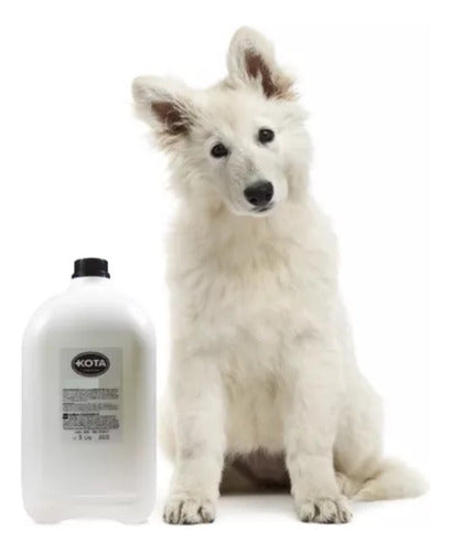 masKOTA Beauty Crystal Clear Shampoo 5 Liters for Bulldog Dogs 0