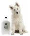 masKOTA Beauty Crystal Clear Shampoo 5 Liters for Bulldog Dogs 0