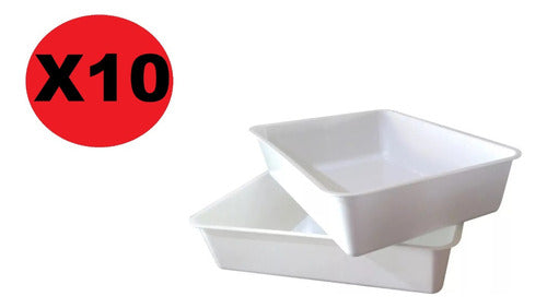 Set 10 Bandeja Polleria Carnicería Granja 48x33cm Reforzada 1