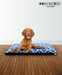 Onda Mascotera Dog and Cat Cushion - Washable Cover 7