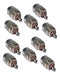 Cambridge PL259 Male Connector for RG213 TWIST - Pack of 10 Low Loss 0