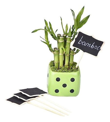 Kallory 40 Pcs Party Mini Chalkboard Signs 3