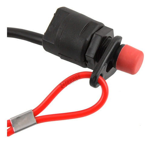 Torque Marine Water Safety Cut-Off Switch 4