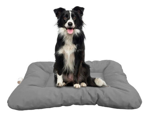 Sarely Pet Mattress Anti-Scratch Bed L 0