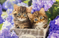 Hi Stone Diamond Painting Cats in Basket Frame 15x10 with Easel 1