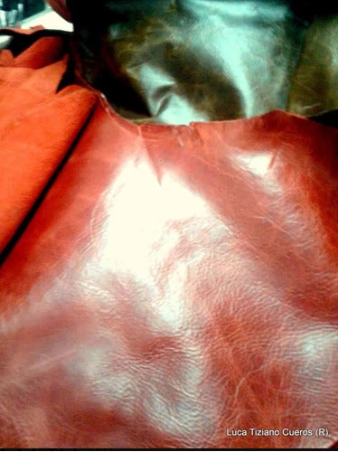 Genuine Cowhide Leather Scraps Luca Tiziano Cueros 3