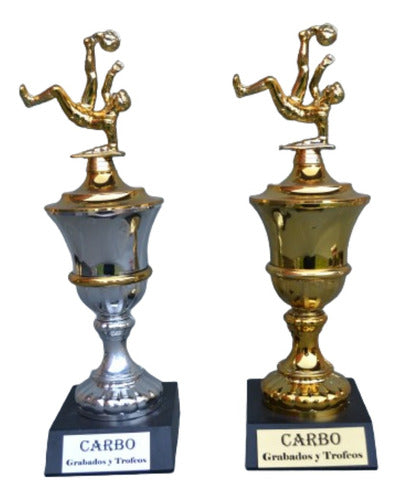 Grabadoscarbo Trophy, Multidisciplinary Cup 44cm, Golden, Silver or Mix 1