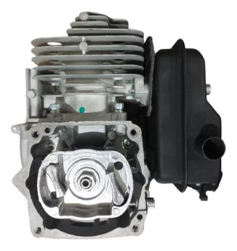 Generic Complete Engine - Cylinder/Block for Brush Cutter 52cc 0