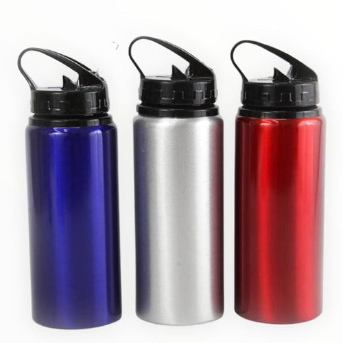 Botella Aluminum Thermos Metallic With Spout Colors Set X3 0