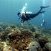 AQUA A DIVE SPORTS Snorkeling Goggles Black 7