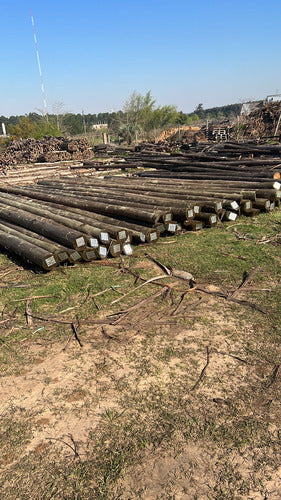 CCA Treated Eucalyptus Posts 13 Meters for Wholesale 7