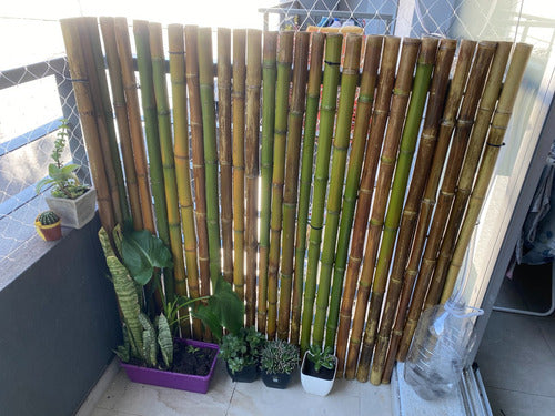 Bamboo Panel Pergola Fence 100x080cm High Tacuara 3
