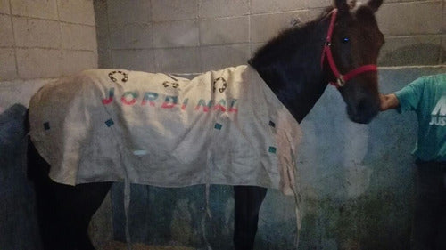 Mantas Para Caballos De Arpillera Doble 2